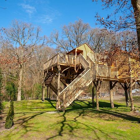 Oakside Tree Tops Canterbury Dış mekan fotoğraf