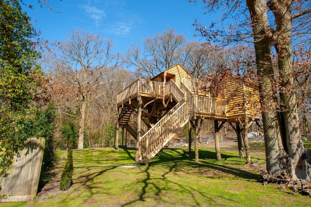 Oakside Tree Tops Canterbury Dış mekan fotoğraf