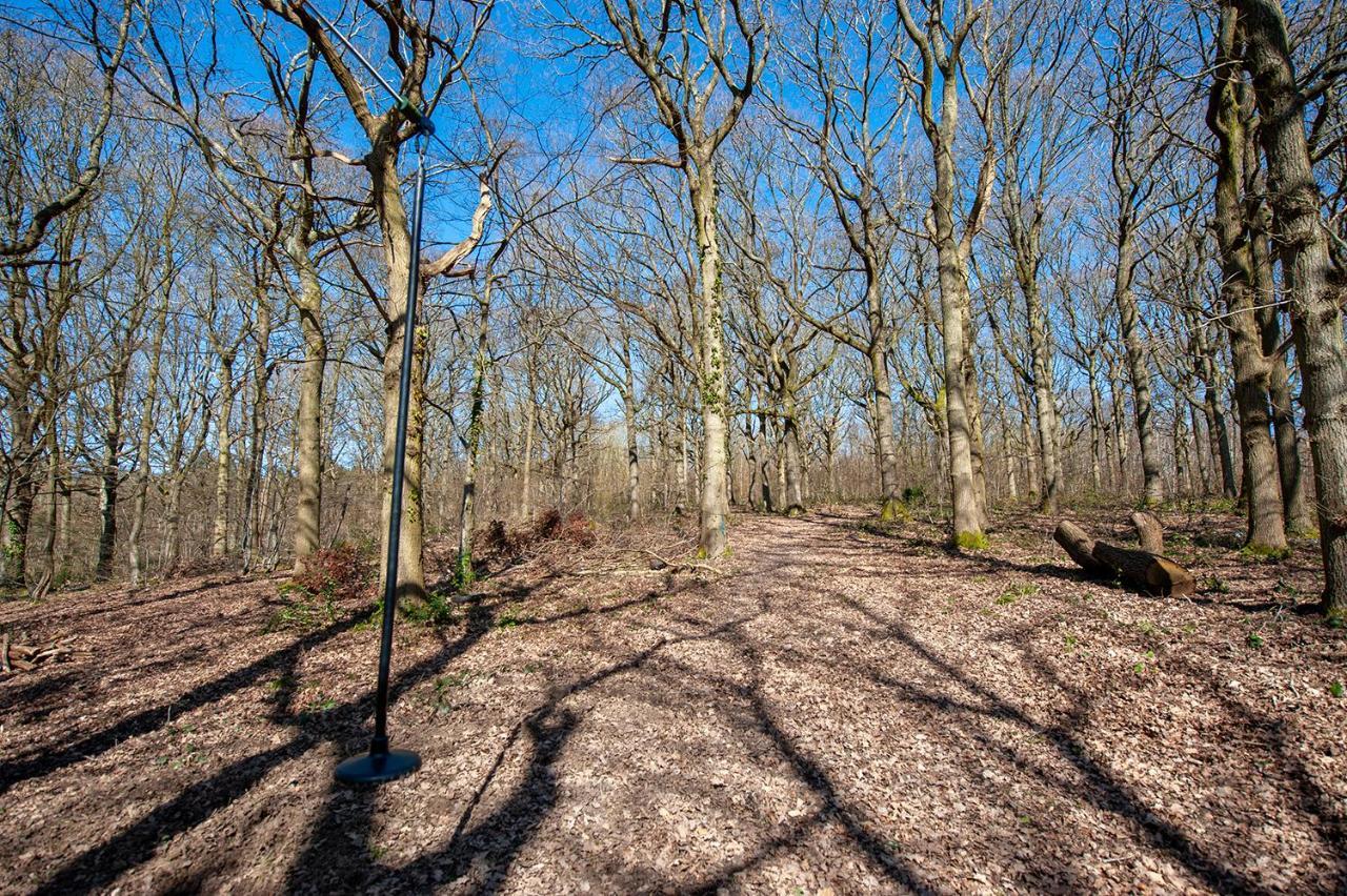Oakside Tree Tops Canterbury Dış mekan fotoğraf